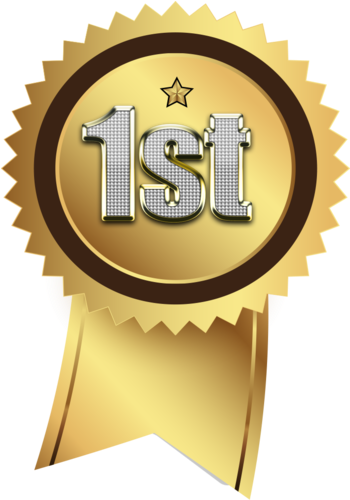 1st Place - Parceiro Companhia Das Letras 2018 (363x517), Png Download