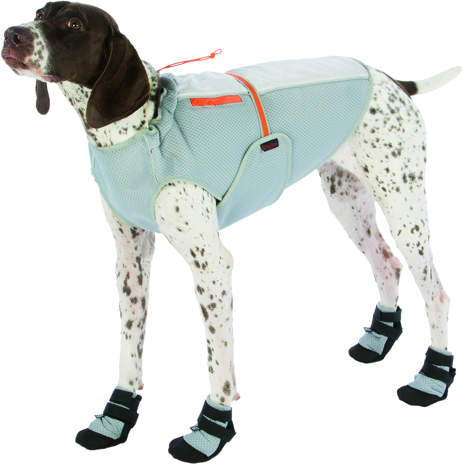 Ultra Paws Ultra Cool Coat - Ultra Paws Cool Dog Coat - Silver - X-small (1280x1280), Png Download