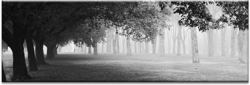 Morning Fog - Photography (900x900), Png Download