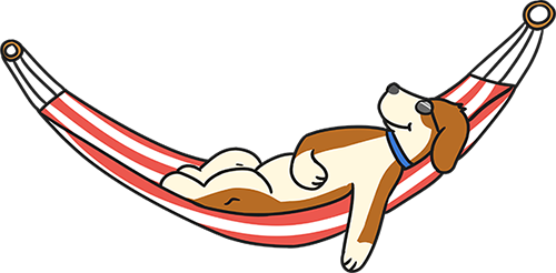 Welcome To Cool Canines In Partnership With Dog Walking - Cool Canines (500x246), Png Download