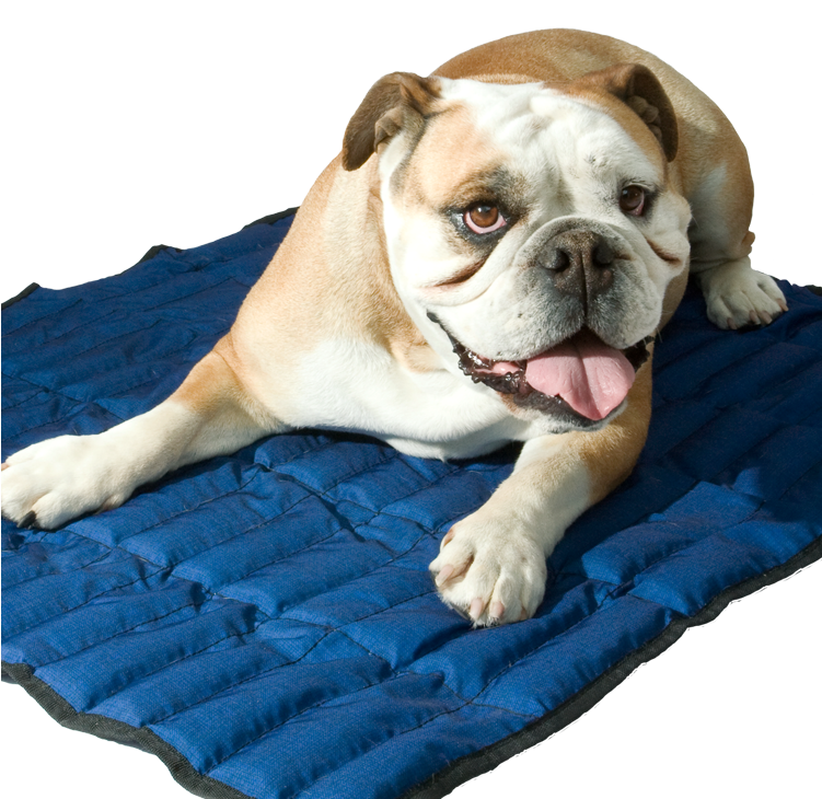 Be - Aqua Coolkeeper Cooling Mat - Pacific Blue - Xxl (750x750), Png Download