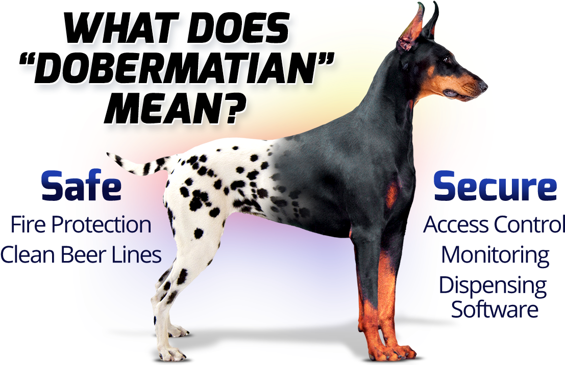 Image - Dobermann (1140x722), Png Download