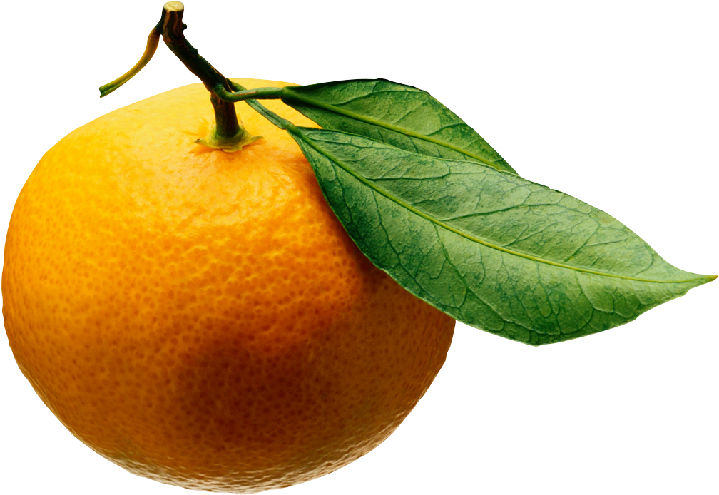 Aa026348 - Fruits And Vegetables On Transparent (1024x710), Png Download