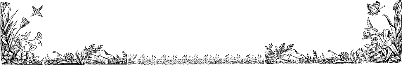 This Is A Beautiful, Nature-themed Border Digital Stamp - Flora And Fauna Border (1600x398), Png Download