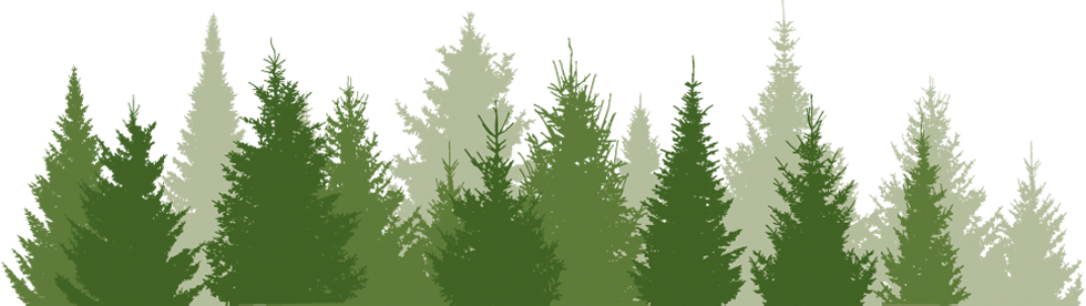 Take 80 High School Age Boys, A Top Notch Team Of Instructors, - Pine Tree Border Transparent (980x276), Png Download