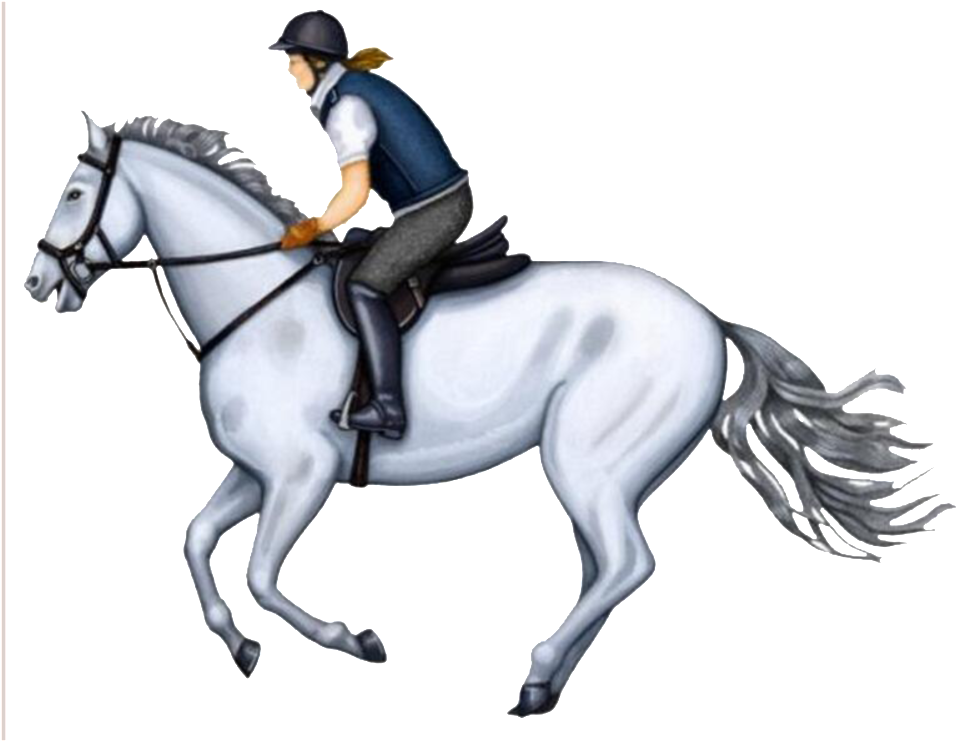 Painted Prince Charming Pattern Design - Equestrianism (1024x740), Png Download