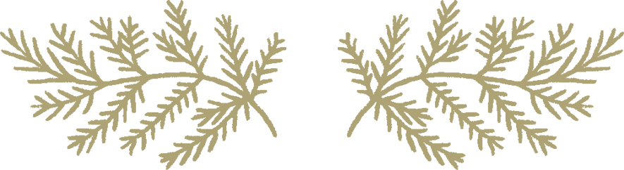 Full - Fern (885x242), Png Download