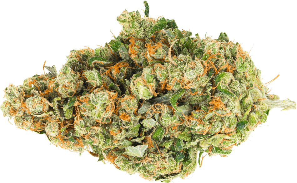 San Diego (950x587), Png Download