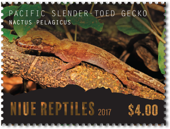 Single Stamp - Gecko (600x600), Png Download
