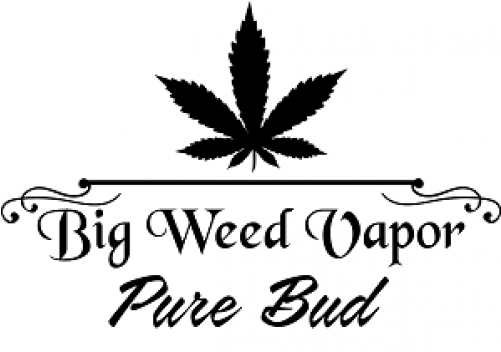 Pure Bud - Breakwater Bay Barnegat Framed Painting Print, Green (500x500), Png Download