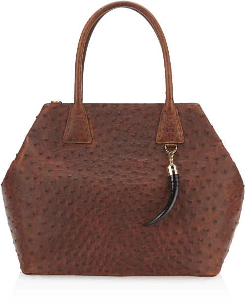 Aziri Ostrich Antique Saddle, Gold Hardware - Okapi Aziri / Antique Saddle Ostrich, Gold Hardware (800x800), Png Download