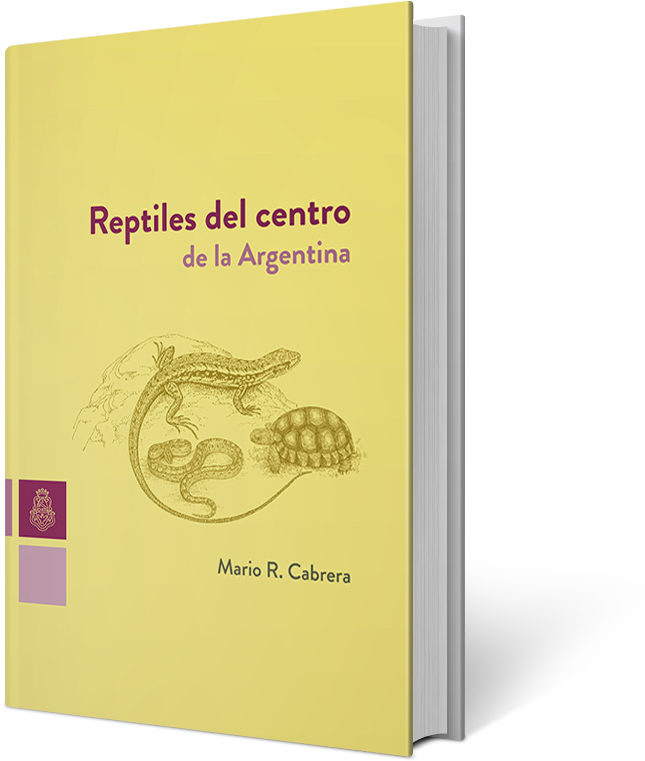 Reptiles - Boa Constrictor (800x800), Png Download