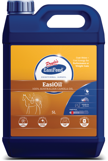 600x800px Easioil-front - Horse (600x800), Png Download