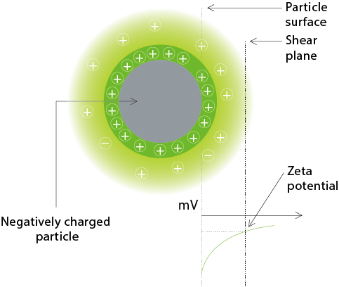 Zeta Potential Is The Charge On A Particle At The Shear - Potentiel Zeta Principe (483x408), Png Download