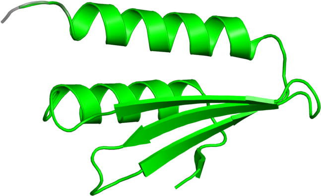 <div Class='caption-body'>1 Copy Of Cath Domain < - Illustration (800x800), Png Download