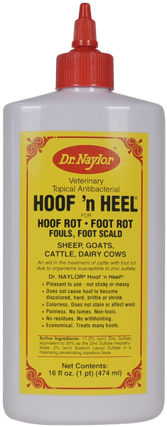 Hoof N Heel Horse Hoof Care - H W Naylor Hhp Hoof N' Heel Livestock Ointment, 16-oz. (720x720), Png Download