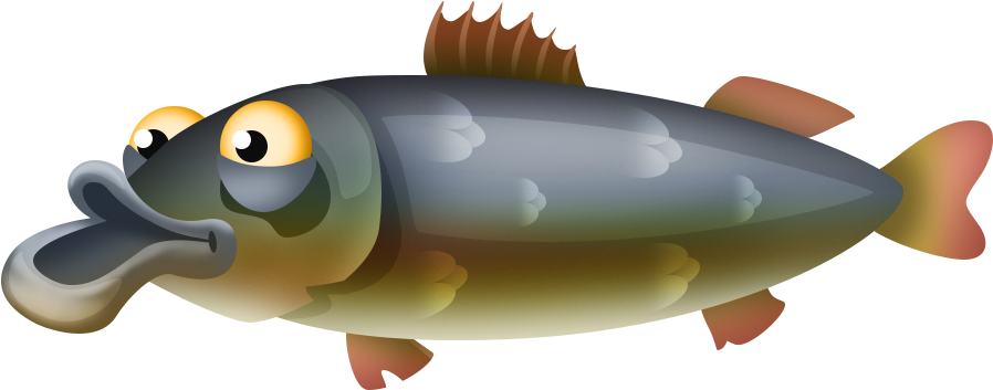 Asp - Golden Trout (1054x734), Png Download