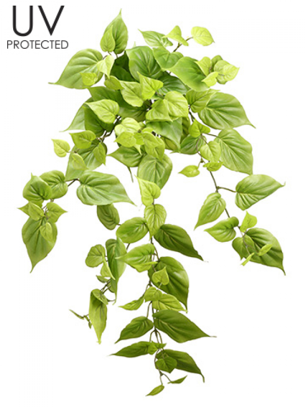 22" Uv Protected Philodendron Bush X10 Light Green - Allstate Floral & Craft Uv Protected Philodendron (800x800), Png Download