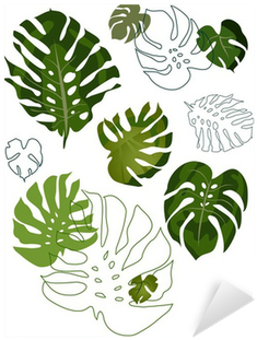 Philodendron Tattoo (400x400), Png Download