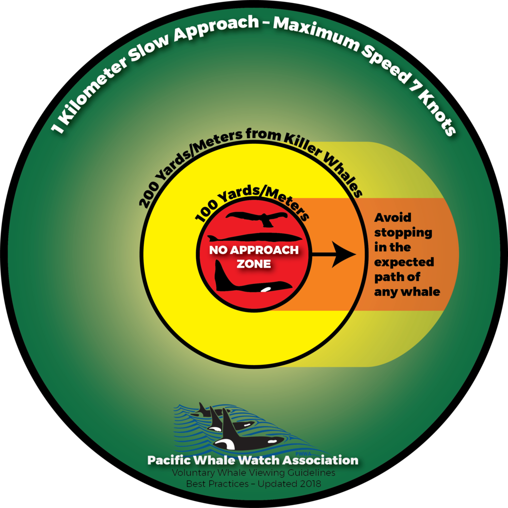 Pwwa Viewing Guidelines All Kw - Portable Network Graphics (1000x1000), Png Download
