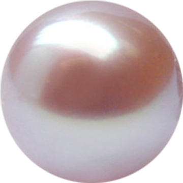Natural Color Lavender Freshwater Pearl - Pearl (453x362), Png Download