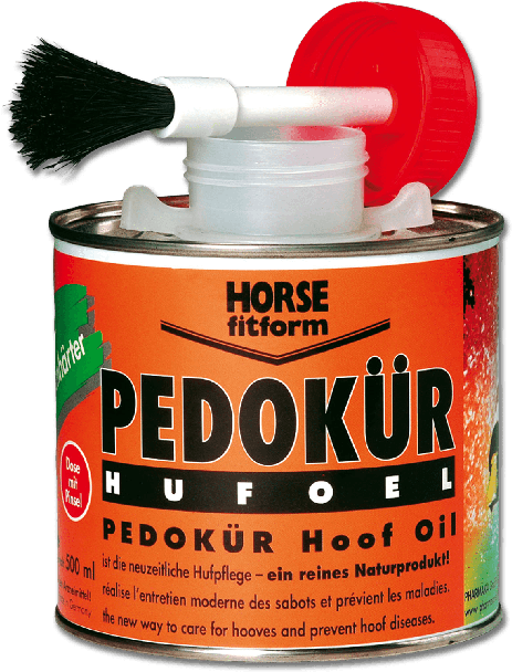 Horse (567x648), Png Download