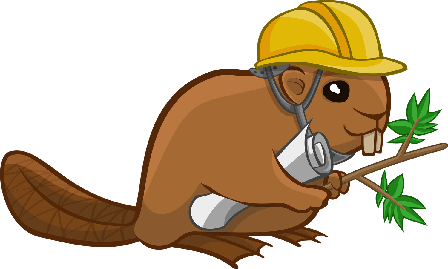 Beaver In A Hard Hat (1500x901), Png Download