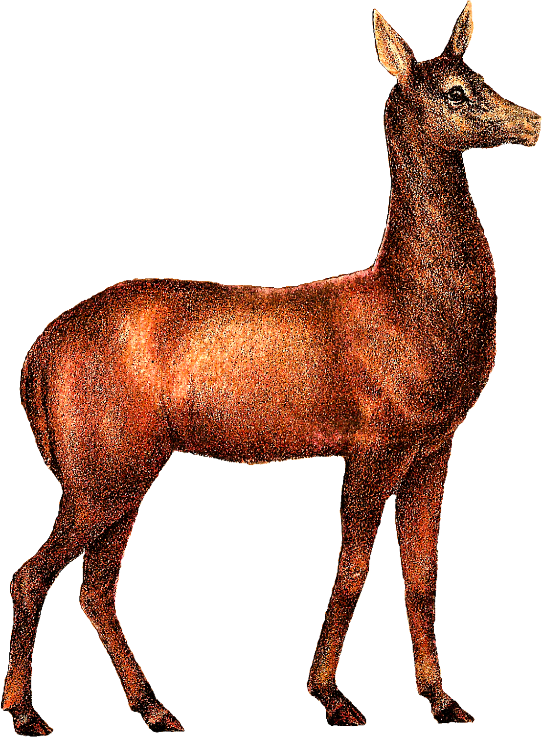 Neither Deer Nor Stags Come To Mind When I Think Of - Mobile Phone (1226x1600), Png Download