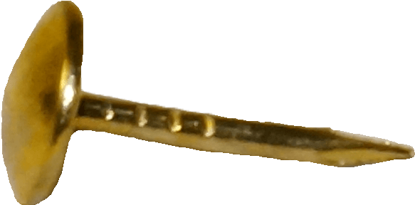 A - Bird Of Prey (4912x3264), Png Download