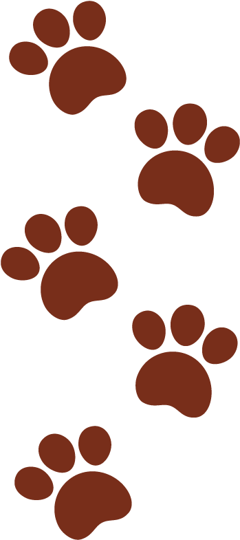 Si Tienes Alguna Duda De Cómo Hacerlo, Puedes Consultar - Huellas De Cachorros Png (800x800), Png Download