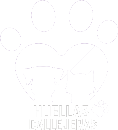Huellas Callejeras Huellas Callejeras - Pet (398x470), Png Download