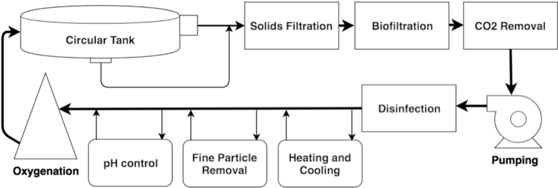 Recirculating Aquaculture System Flow Chart - Recirculating Aquaculture System Process (800x270), Png Download