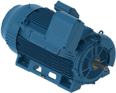 W50 Three Phase Motor - Motor De Agua Weg Bifasico (400x400), Png Download