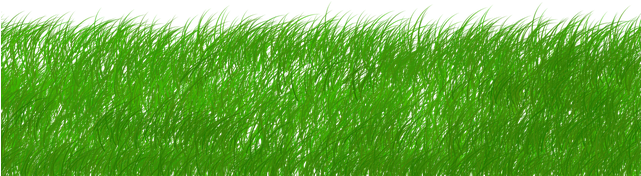 Cabecera Césped - Green Ecology (640x234), Png Download