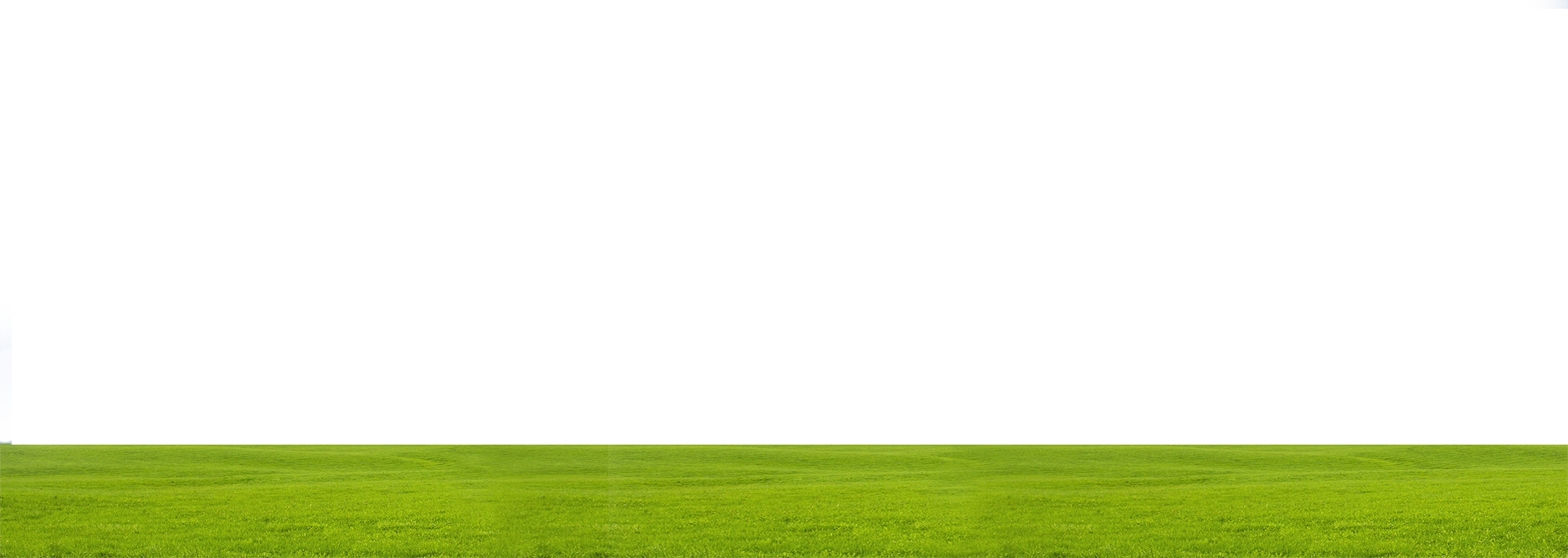 Somos Capaces De Hacer Que Su Casa O Local Sea Eficiente - Grass (2145x763), Png Download