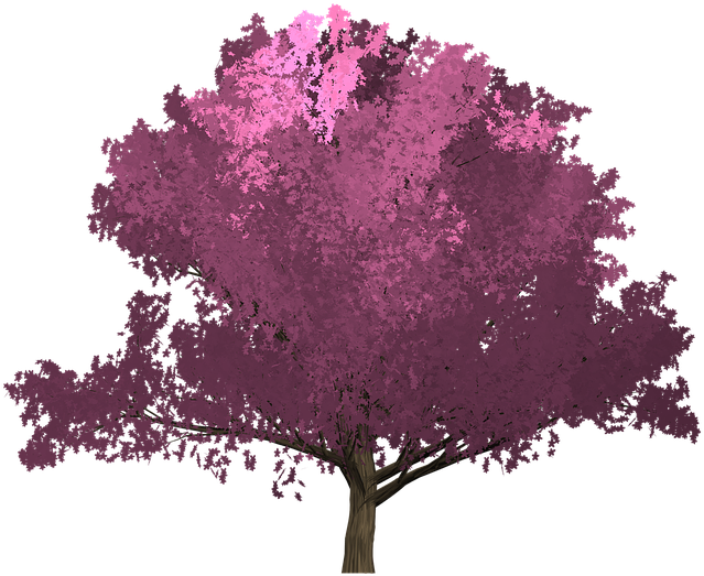 Arbol Rosa Png - Illustration (720x720), Png Download
