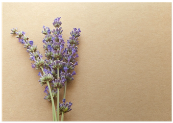 Royalty-free (400x400), Png Download