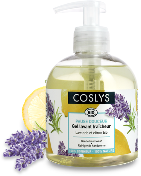 Lavender (728x660), Png Download