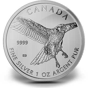 2015 1 Oz Canadian Silver Red-tailed Hawk Coins From - Red-tailed Hawk (388x371), Png Download