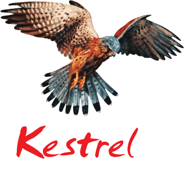 Kestrel - Our History - Sharp Shinned Hawk (360x336), Png Download