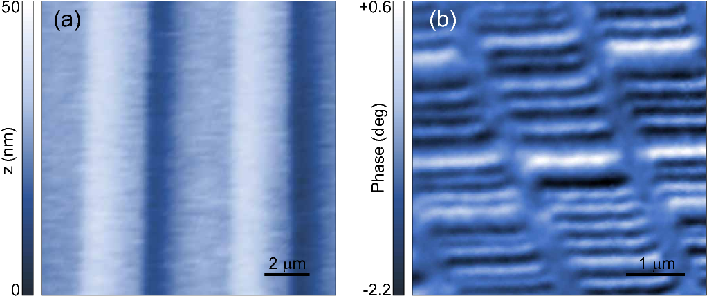 Topographic Image Of The Calibration Sample From Mikromasch - Label (1031x452), Png Download
