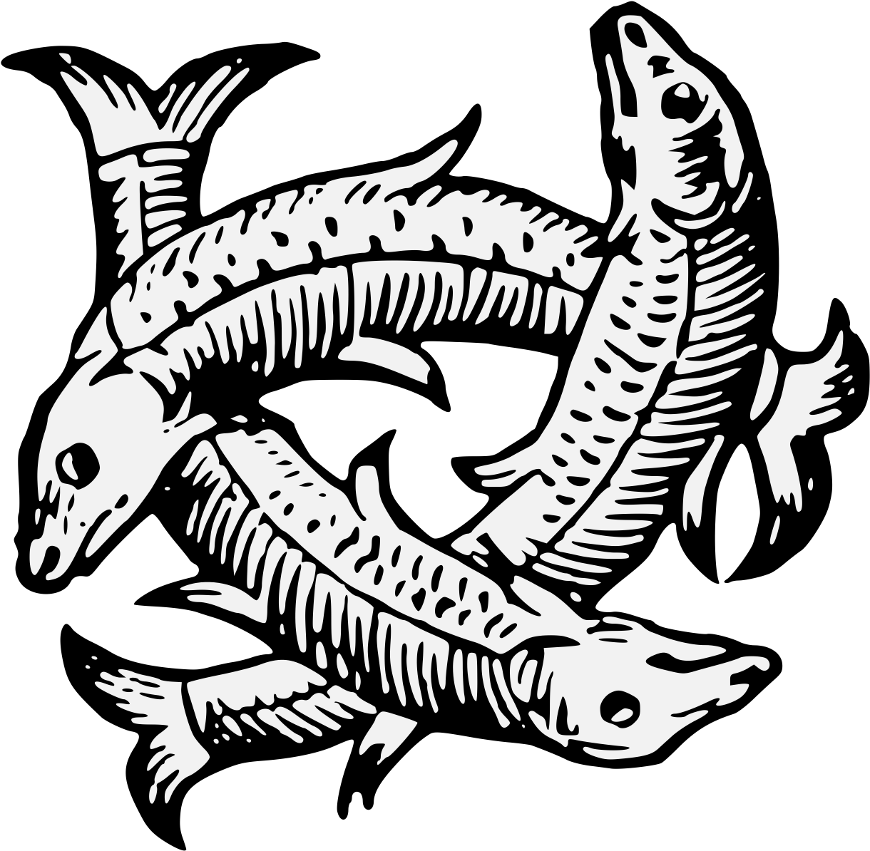 Details, Png - Portable Network Graphics (1237x1209), Png Download