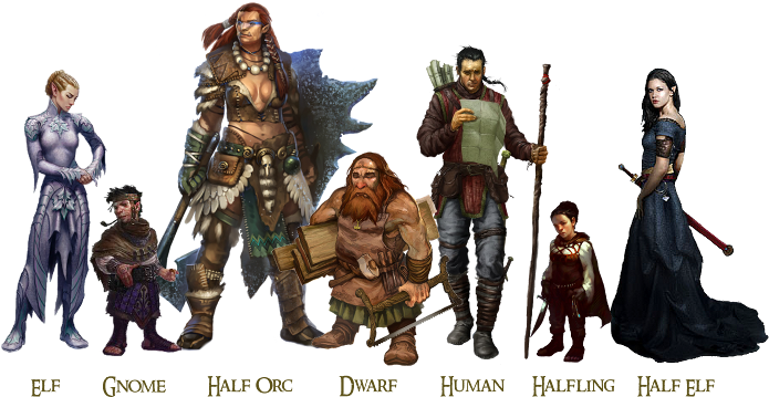 Humans Elves And Dwarves (700x380), Png Download