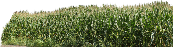 Silos Slideshow Image - Field (730x304), Png Download