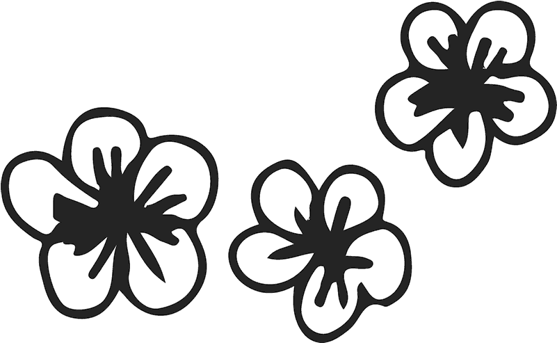Three Stylish Drawn Flowers Rubber Stamp - Drawing (800x800), Png Download