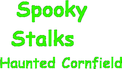 Sparkles Nursery School (531x271), Png Download