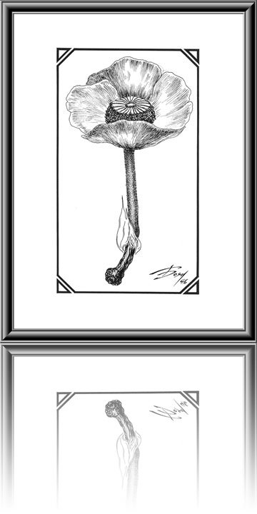 Matchbox Flower - - Human (360x720), Png Download