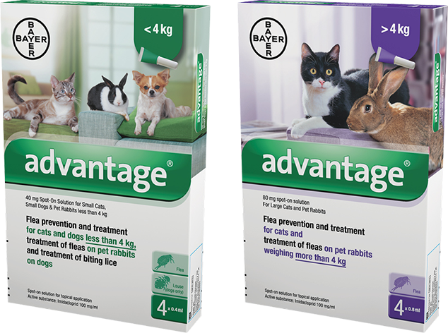 Advantage® Cat Products - Bayer - Advantage 80 Spot-on Flea Drops (634x472), Png Download