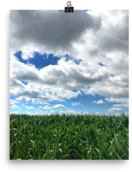 Photography Print Of Cloudy Sky Over Cornfield - Cloud (500x500), Png Download
