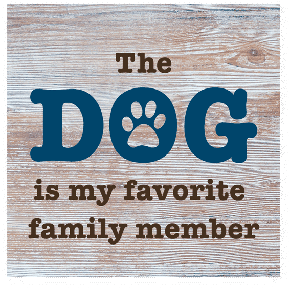 Wood Pallet Magnet - Wood Pallet Magnet The Dog Is My Favorite Family Member (800x600), Png Download